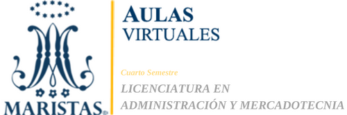 Aulas Virtuales - LAM4